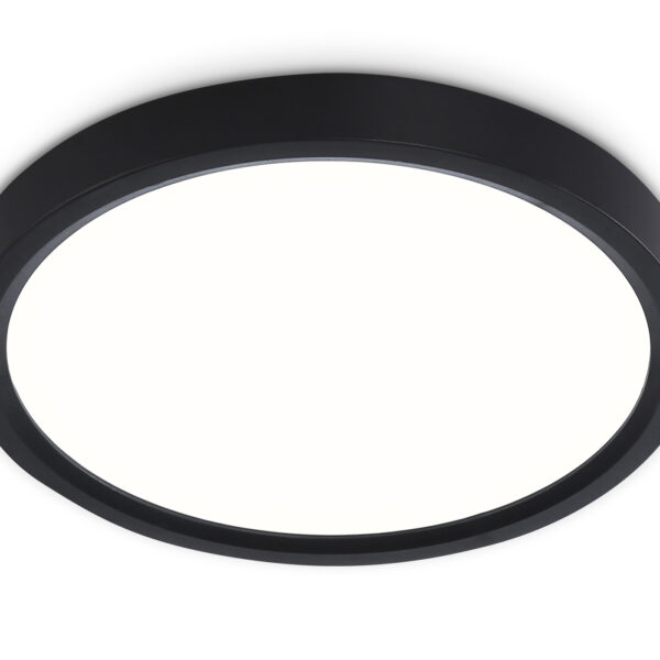 FZ1902 BK черный IP54 13W 3000K-6500K CCT-переключатель D230*25 (Без ПДУ)