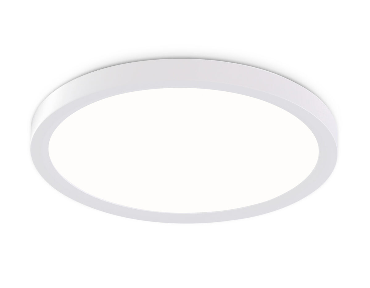 FZ1903 WH белый IP54 20W 3000K-6500K CCT-переключатель D300*25 (Без ПДУ) — изображение 1