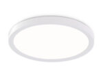 FZ1903 WH белый IP54 20W 3000K-6500K CCT-переключатель D300*25 (Без ПДУ)