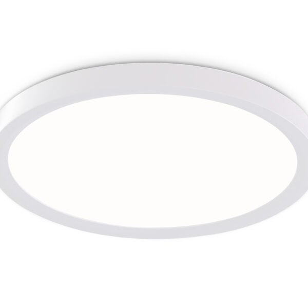 FZ1903 WH белый IP54 20W 3000K-6500K CCT-переключатель D300*25 (Без ПДУ)