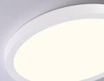 FZ1903 WH белый IP54 20W 3000K-6500K CCT-переключатель D300*25 (Без ПДУ) — изображение 2
