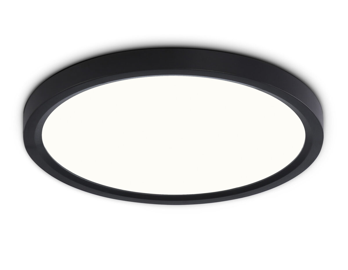 FZ1904 BK черный IP54 20W 3000K-6500K CCT-переключатель D300*25 (Без ПДУ) — изображение 1