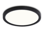FZ1904 BK черный IP54 20W 3000K-6500K CCT-переключатель D300*25 (Без ПДУ)