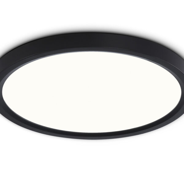 FZ1904 BK черный IP54 20W 3000K-6500K CCT-переключатель D300*25 (Без ПДУ)