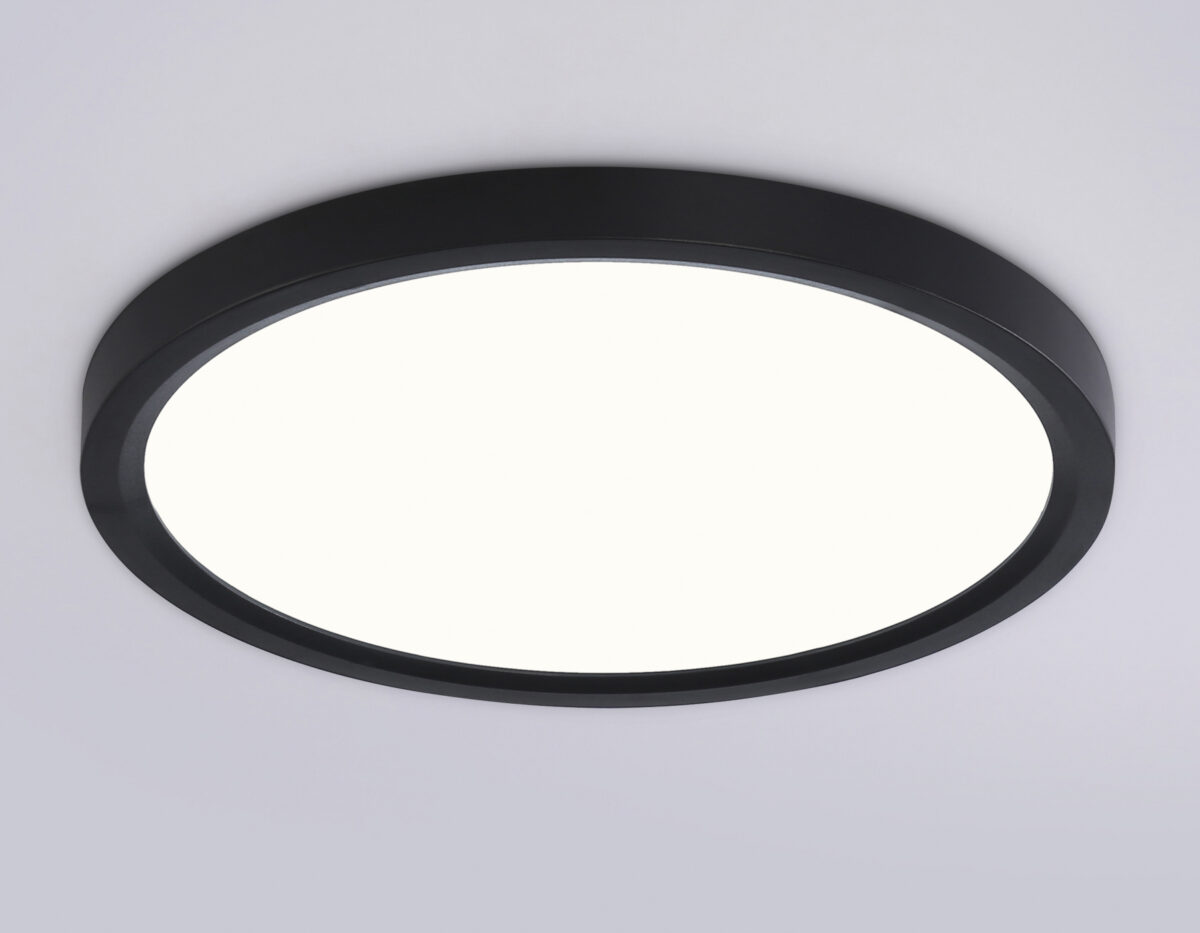 FZ1904 BK черный IP54 20W 3000K-6500K CCT-переключатель D300*25 (Без ПДУ) — изображение 3