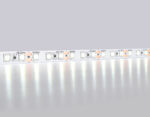GS1103 2835 120Led/ 9.6W m/ 12V IP20 6500K/ 5000*8*1.2mm (2 конт.) — изображение 2