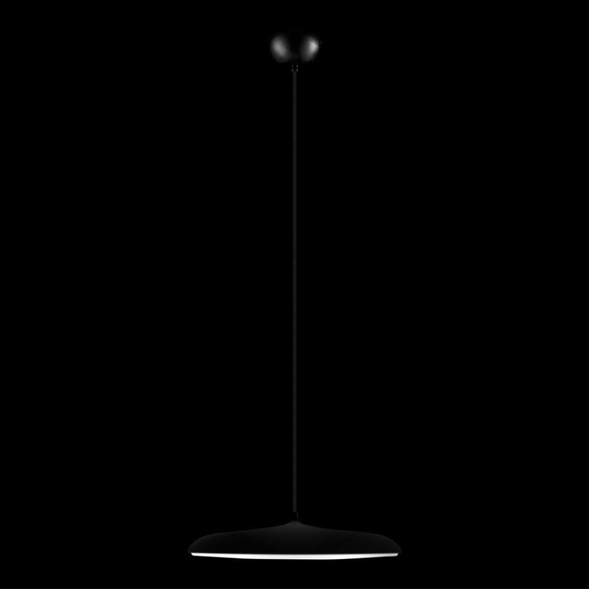 10119 Black Подвесной светильник LOFT IT Plato — изображение 2