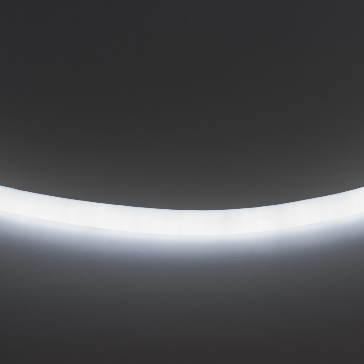 430204 Лента гибкая неоновая NEOLED 220V 120LED/m CW 3,4W/m, (1шт=1м) ХОЛОДНЫЙ БЕЛЫЙ ЦВЕТ 6000-6500K IP65 — изображение 1